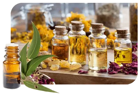 Spearmint Oil Manufacturers In 