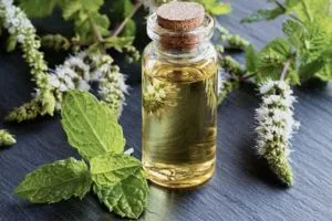 Tummy Troubles? Taming Digestive Issues with Peppermint Oil