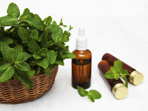 Cornmint Oil Manufacturers