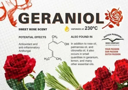 Geraniol Manufacturers