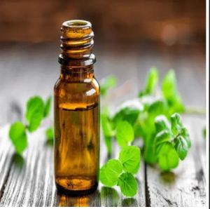 Natural Specialities In Gabon