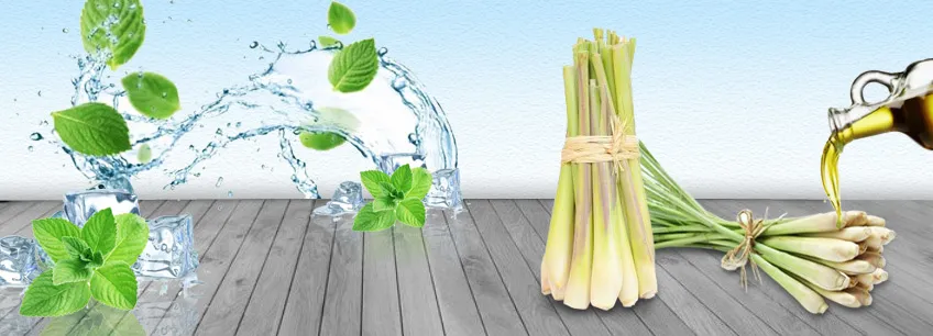 Lemongrass Oil Manufacturers