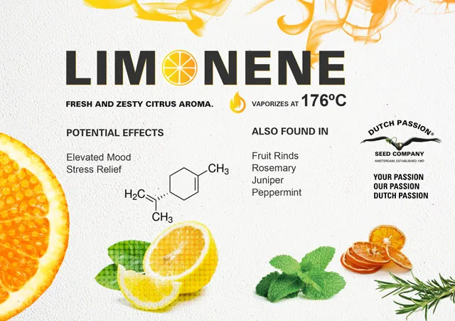 Limonene In Al Dhaid