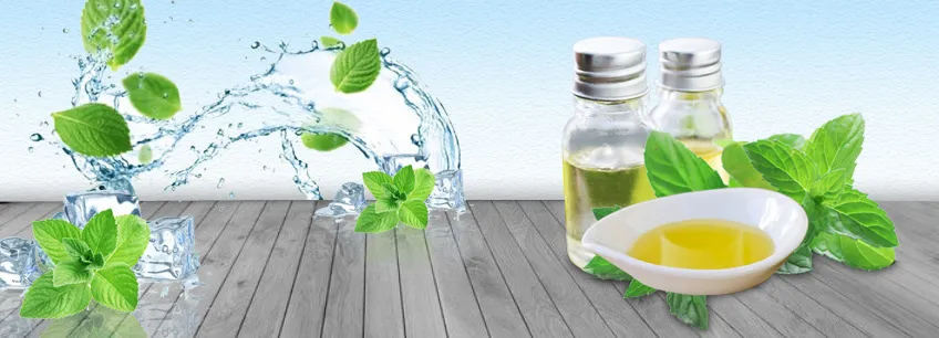 Mentha Arvensis Oil Manufacturers