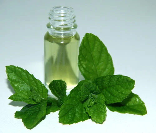 Mentha Oil In Al Dhaid