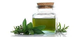 Mentha Spearmint Oil In Al Dhaid