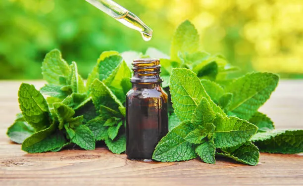 Mint Products