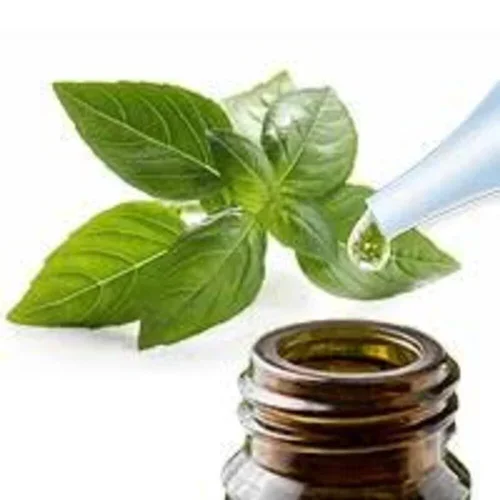 Natural Anthole Ex Basil Manufacturers