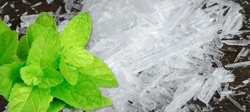 Natural Menthol Crystals Manufacturers