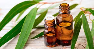 Natural Patchouli Oil Manufacturers