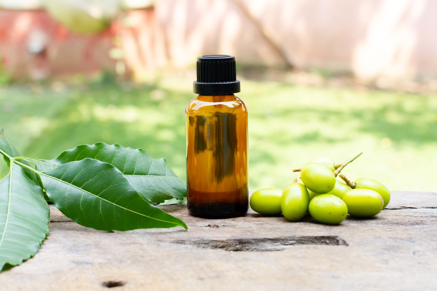 Neem Oil Manufacturers