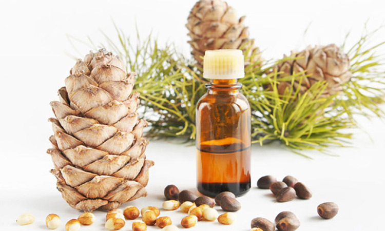 Organic Cedarwood Oil Manufacturers