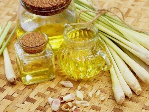 Pure Lemongrass Oil In Al Dhaid