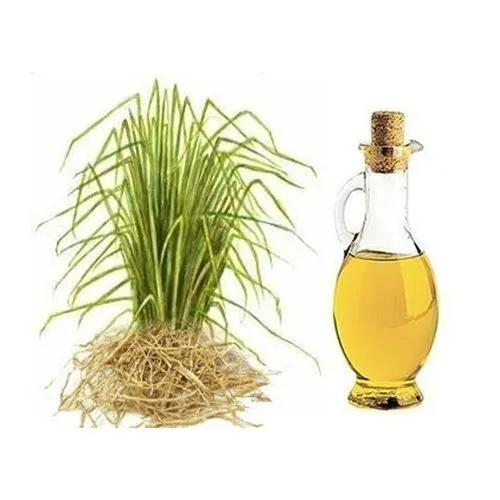 Rosemary Oil In Tajikistan