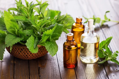 Spearmint Oil