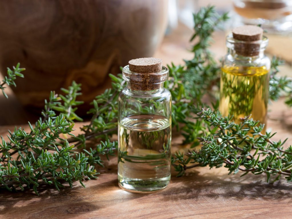 Thyme Oil Manufacturers
