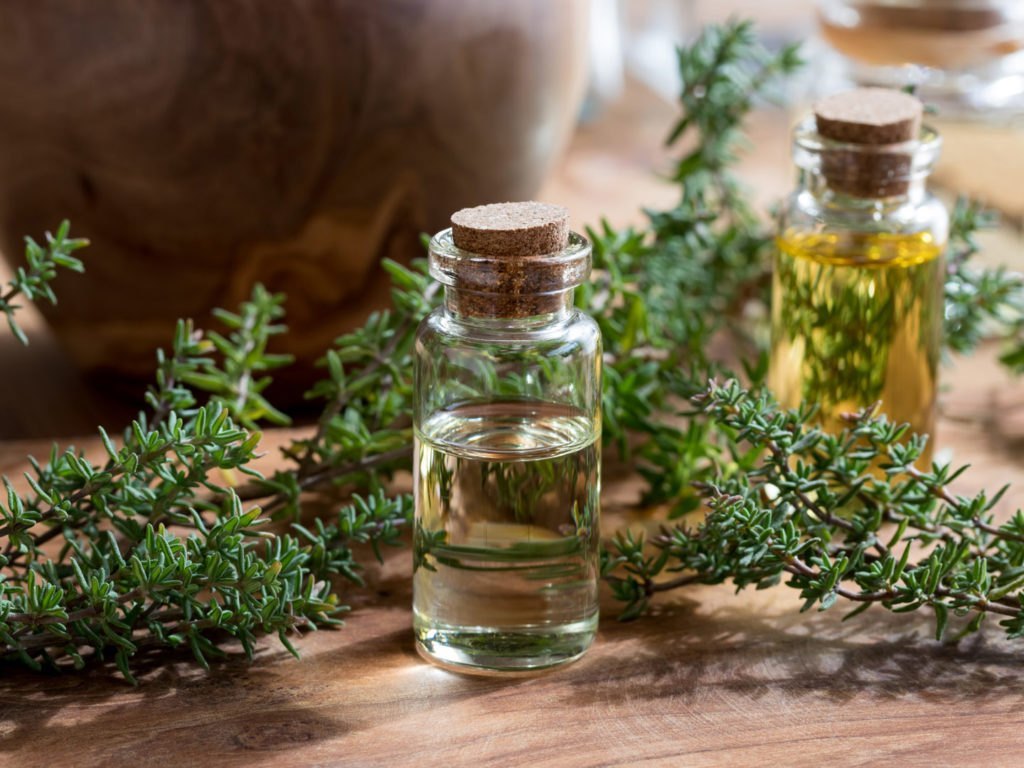 Thyme Oil In Al Dhaid