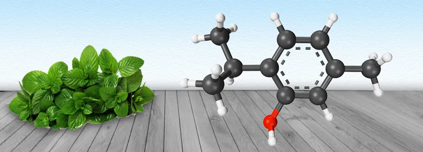 Thymol Sugar