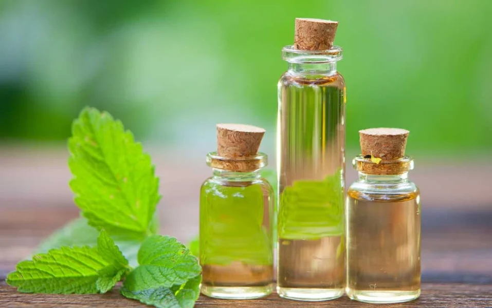 DE Mentholised, IP. EP. Peppermint Oil Blends